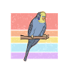Budgerigar Grandma | Budgerigars Gift