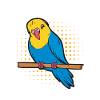 Budgerigar Grandpa Budgerigars Gift