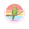 Budgerigar Grand-mère Budgerigars Cadeau