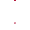 Love your body