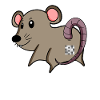 Mouse Ass - Mouse Butt