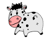 Cow Ass - Cow Butt