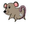 Mouse Ass - Mouse Butt