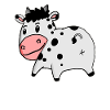 Cow Ass - Cow Butt