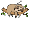 Urwald Tier Faul Schlafen Faultier Statement