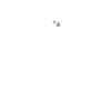 L'application équitation t-shirt cheval humour