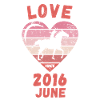 Amour équitation anniversaire Juin 2016