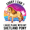 Shetlandpony Shetland-Pony Shetty