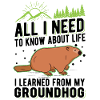 Murmeltier Groundhog Day Waldmurmeltier