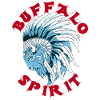 Buffalo Spirit | Bison head
