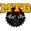 VTT
