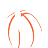 Basketball basketball hoop throwing basketball players