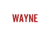 No Wayne No Life