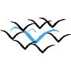 Rare Bird design