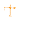 Funny crane lover saying
