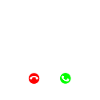 Appenzeller Sennenhund
