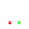 Chien de berger d’Anatolie