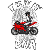 Moto Lifestyle / Moto / Moto motociclista