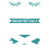 Cricket Softball