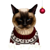 Grumpy Siam Weihnachtskatze - Charity