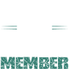 Darts Team