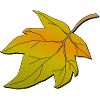 Herbstblatt | Autumn leave