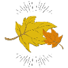Autumn leaves with rays