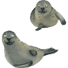 Seals