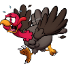Running Turkey