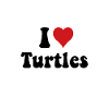 I love Turtles water turtle