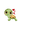 Crazy Turtle Lady turtles