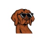 Vizsla Liebhaber süßes Hundendesign