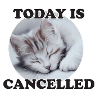 chat endormi