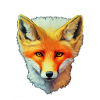 Fuchskopf