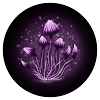 Magic mushrooms
