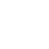 SOUTH CAROLINA with white text