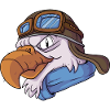 Eagle Pilot