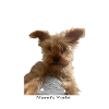 Mama‘s Yorki