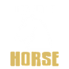 Schach - Its not a Horse