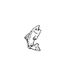 Salmon Ladder
