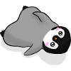 Kawaii Penguin Anime