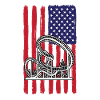 USA Roller Coaster Design
