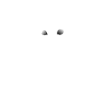 DJ Cat in White