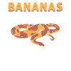 Bananer er min marmelade. Herpetologer.
