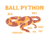 Anatomie Einer Kugelpython. Bananen-kugelpython