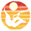 Sunset Silhouette Flight