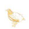 Quail bird lover gift