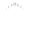 Moon Wolf Shirt Gift