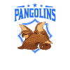 Pangolin Spirit Animal Schuppentier