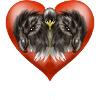Aigle royal WikipédiaAigle royal